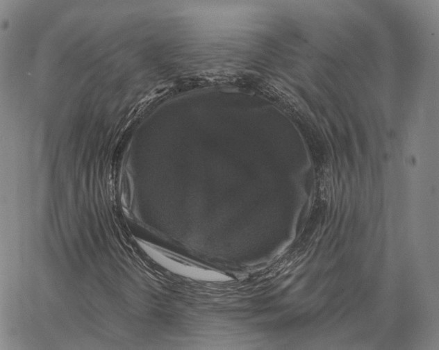 X0000062641298200601181734