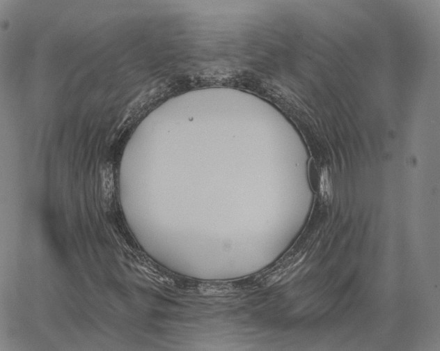 X0000062641299200601181734