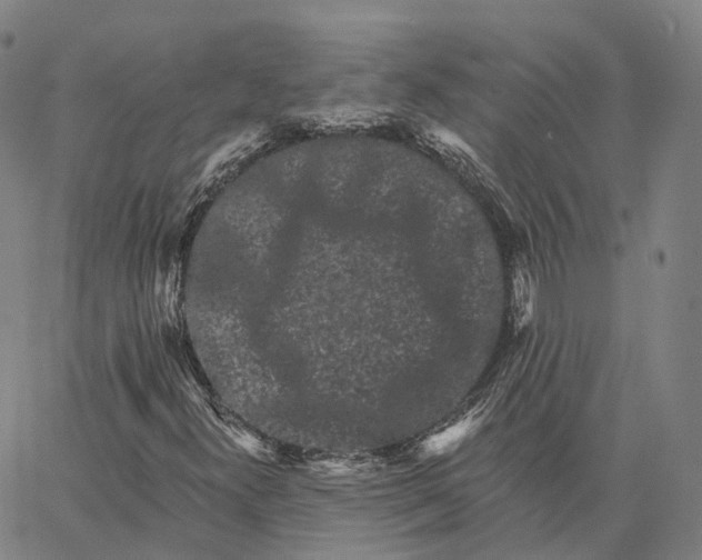 X0000062641300200601181734