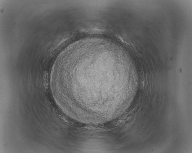 X0000062641301200601181734