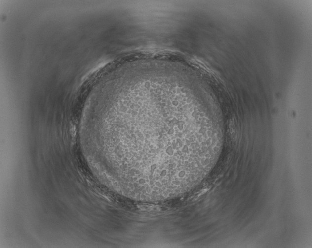 X0000062641302200601181735