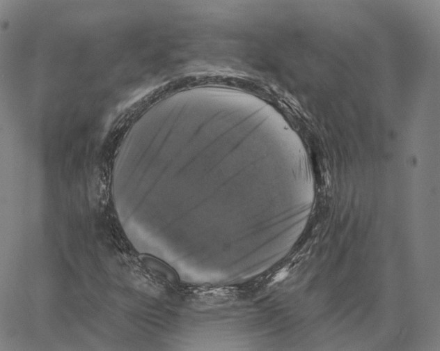 X0000062641303200601181735