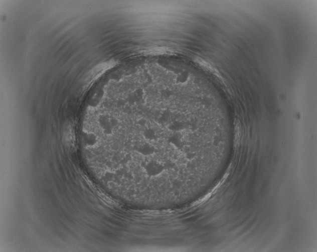 X0000062641305200601181735