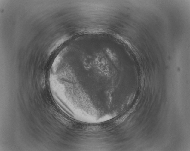 X0000062641306200601181735