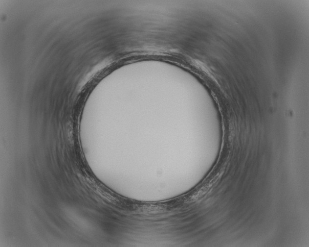 X0000062641307200601181735