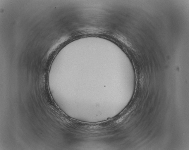 X0000062641309200601181735