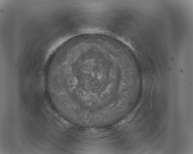 X0000062641311200601181735