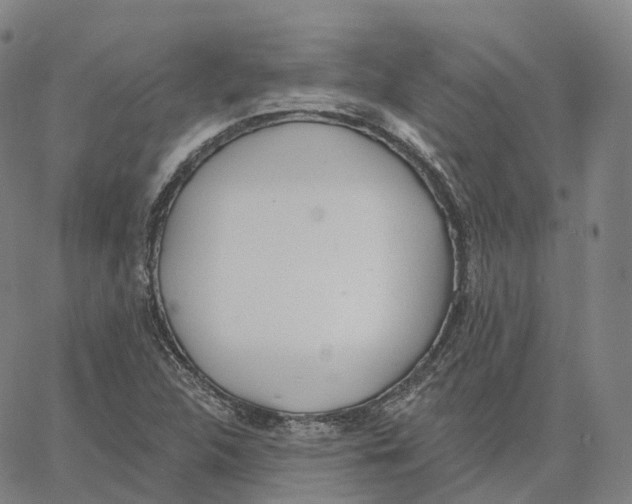 X0000062641312200601181735