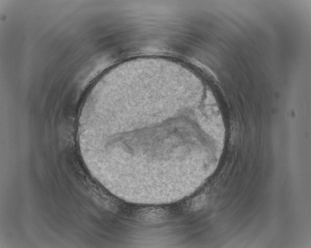 X0000062641314200601181735