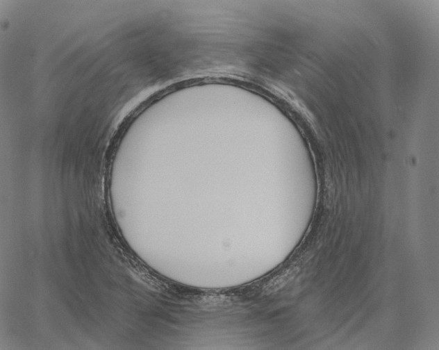 X0000062641316200601181735