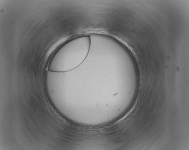 X0000062641317200601181735