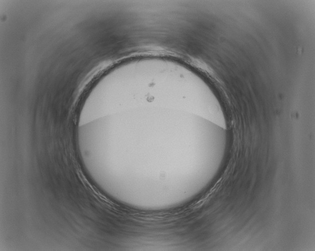 X0000062641318200601181735