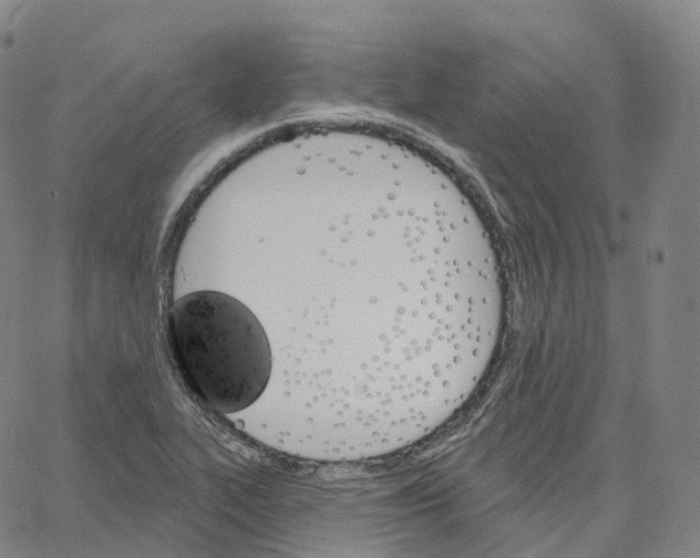 X0000062641319200601181735