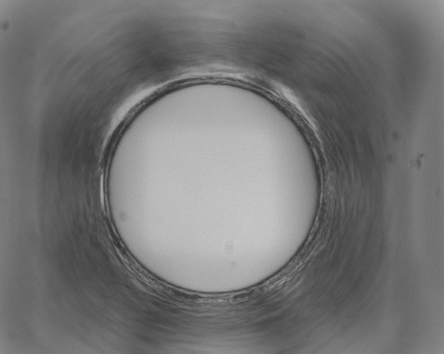 X0000062641320200601181735