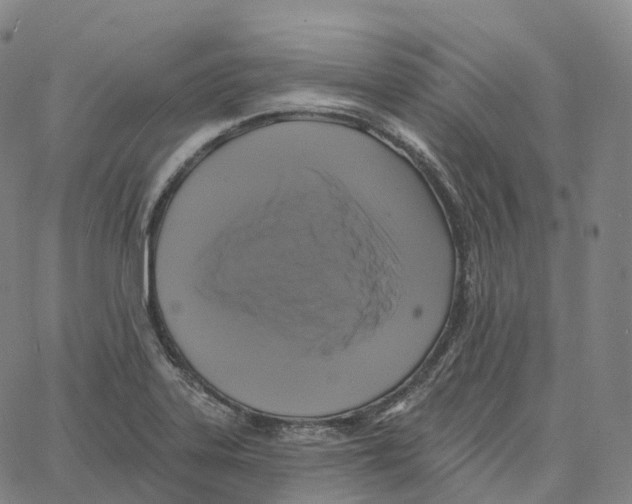 X0000062641323200601181735