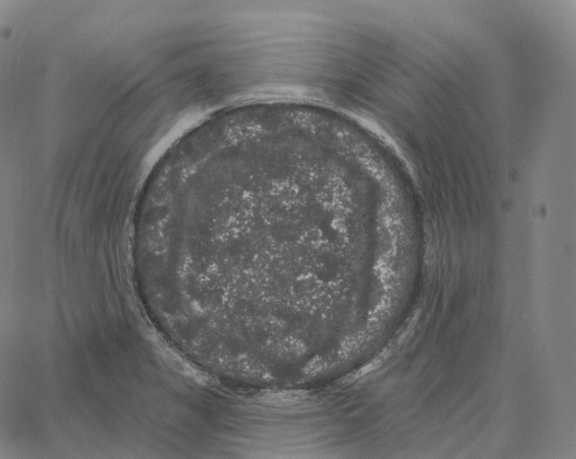 X0000062641325200601181735