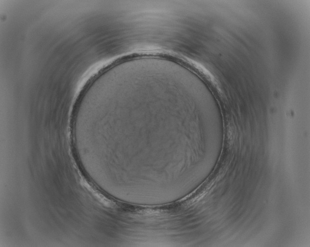 X0000062641327200601181735