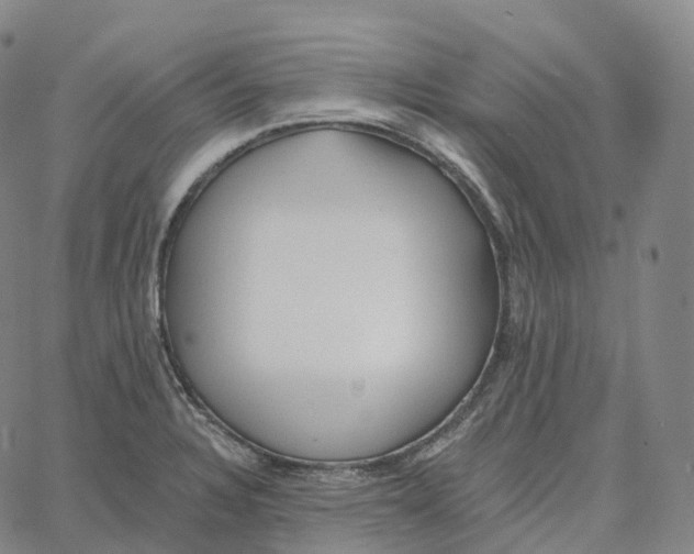 X0000062641328200601181735