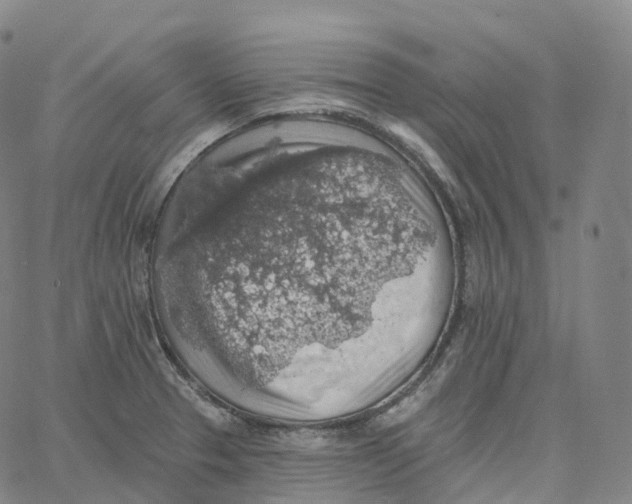 X0000062641329200601181735