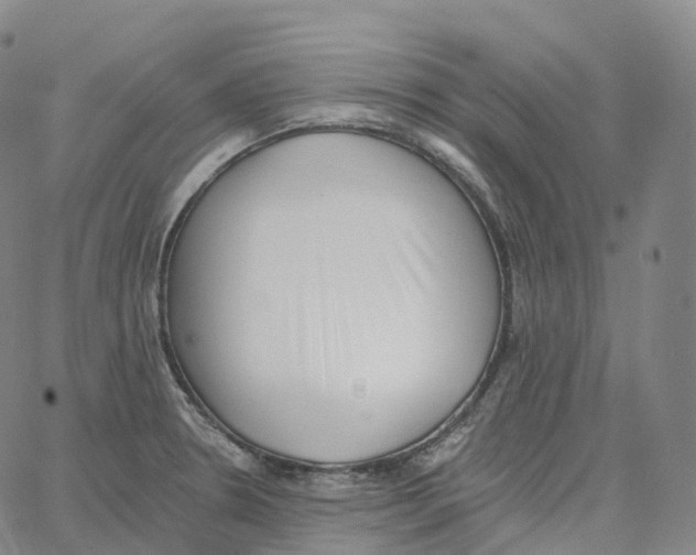 X0000062641330200601181735