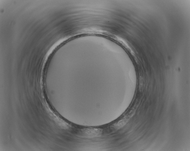 X0000062641331200601181735