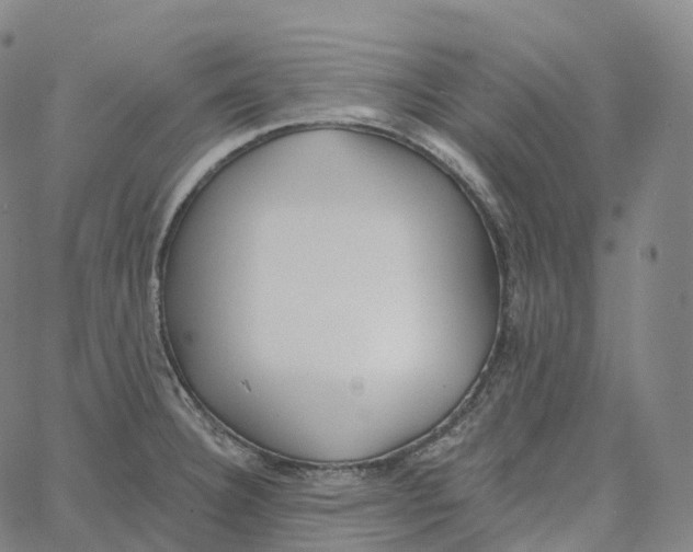 X0000062641332200601181735