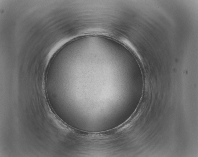 X0000062641336200601181735