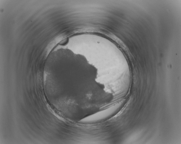 X0000062641337200601181735