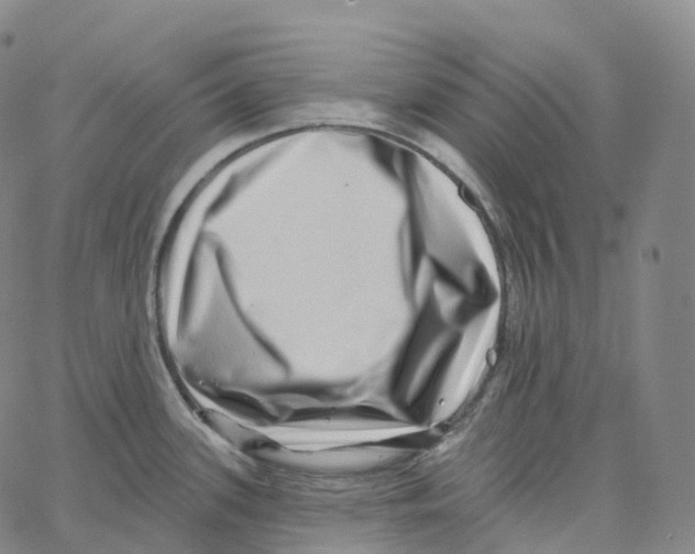 X0000062641339200601181735