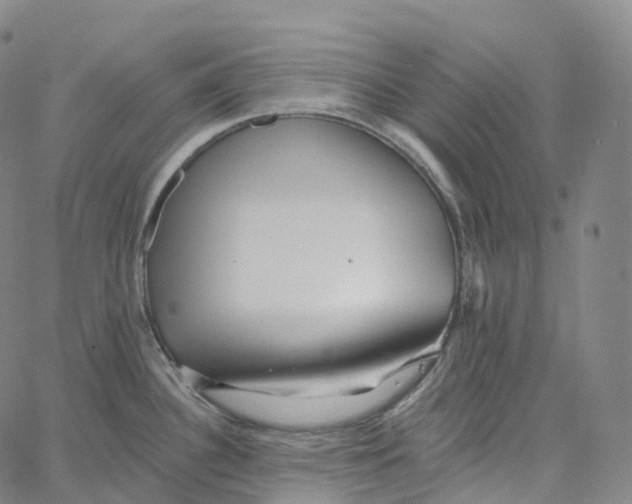 X0000062641340200601181735