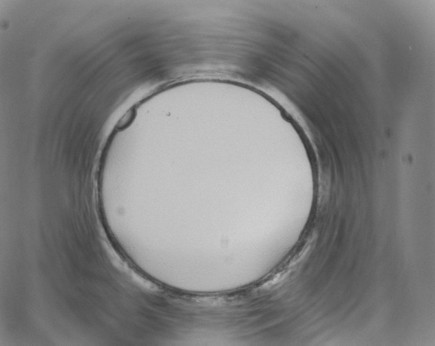 X0000062641341200601181735