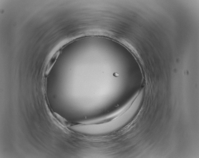 X0000062641342200601181735