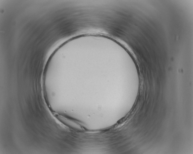 X0000062641343200601181735