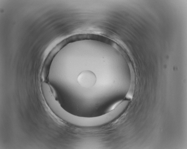 X0000062641344200601181735