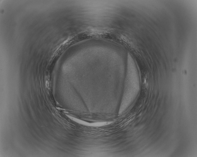 X0000062641348200601181734