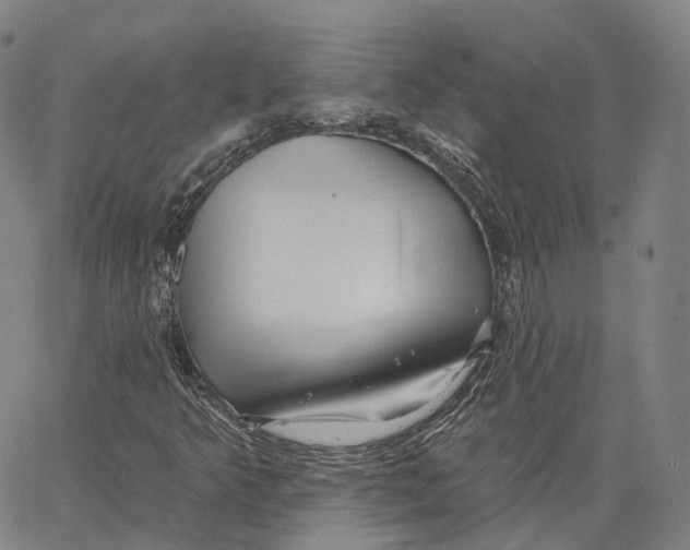 X0000062641349200601181734