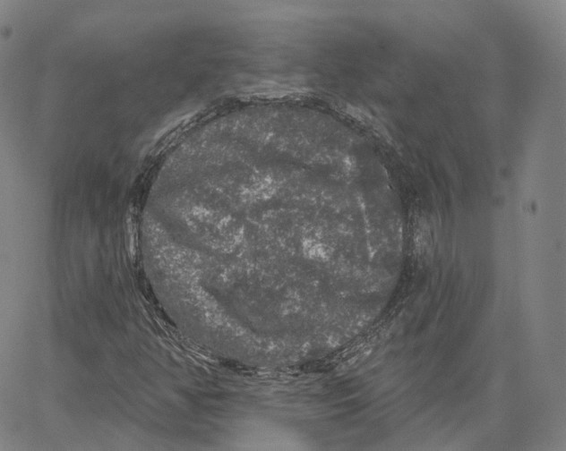 X0000062641350200601181734