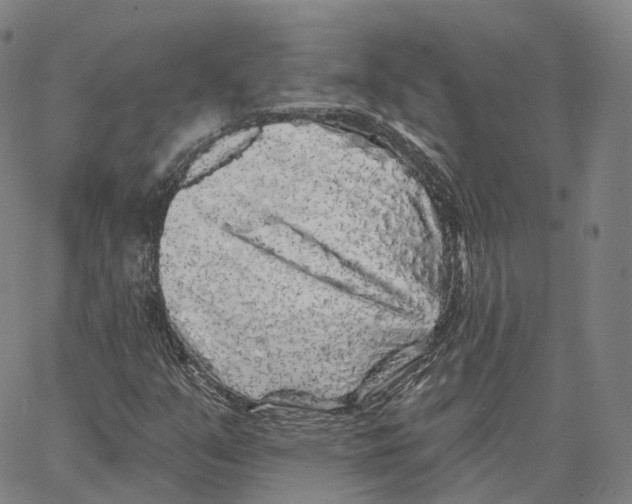 X0000062641351200601181734