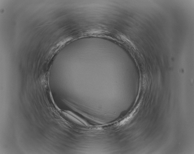 X0000062641353200601181734