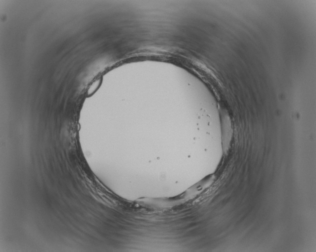 X0000062641355200601181734