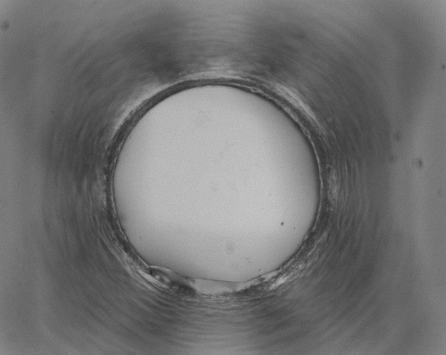 X0000062641356200601181734