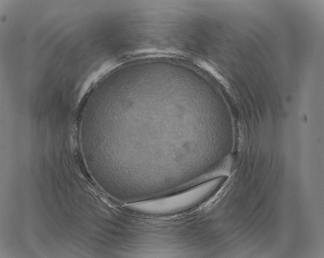 X0000062641357200601181734