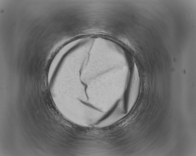 X0000062641358200601181734