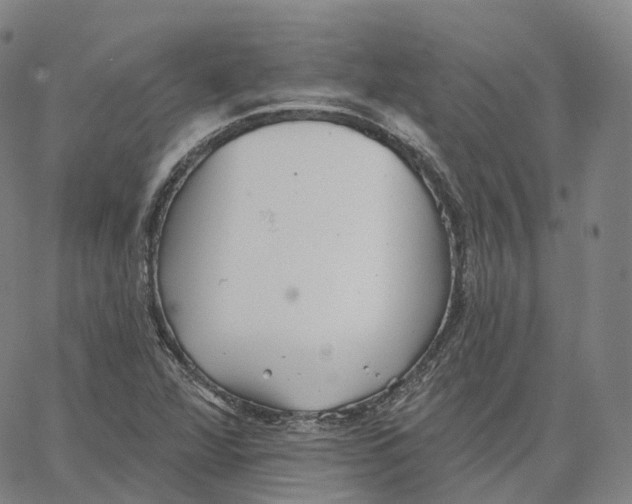 X0000062641360200601181734