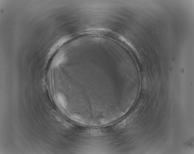 X0000062641362200601181734