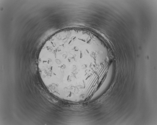 X0000062641363200601181734