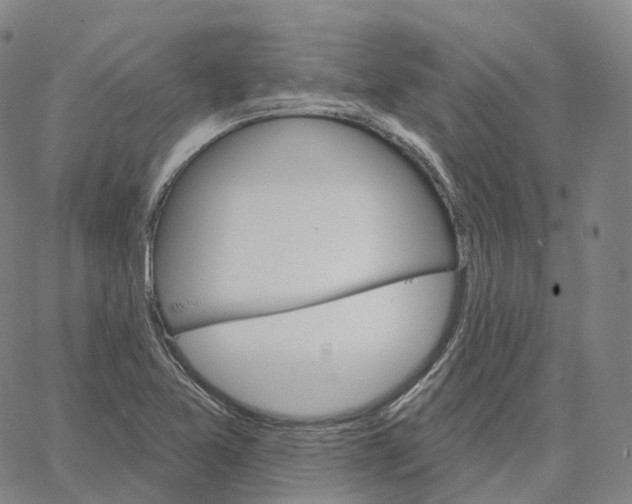 X0000062641365200601181734