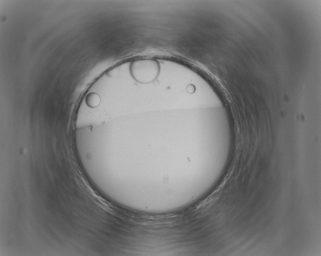 X0000062641367200601181734