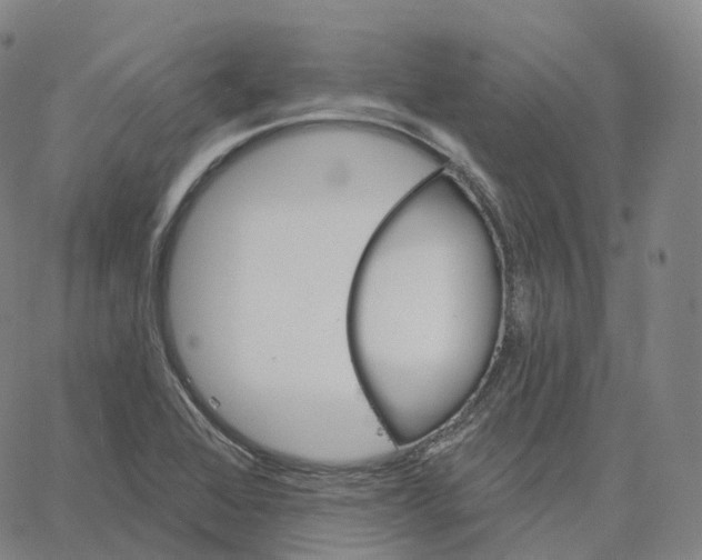 X0000062641368200601181734