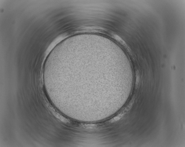 X0000062641370200601181734